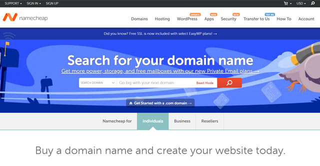buying a domain name